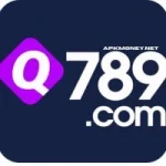 Q789 Game